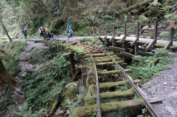 1090406 太平山 見晴懷古步道1082931