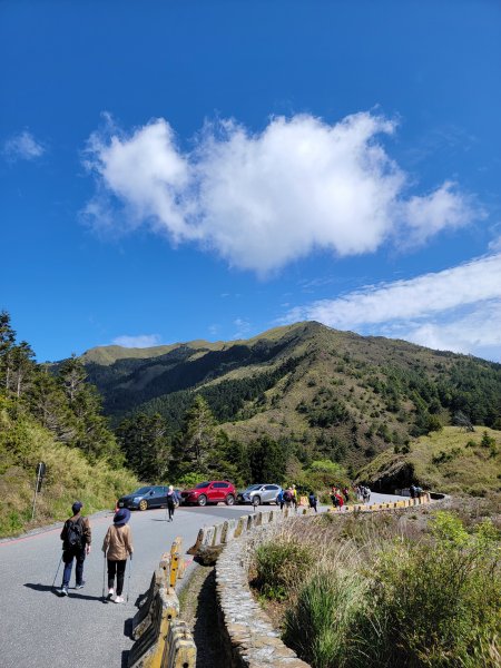 2026-0517-合歡北峰初探3066507