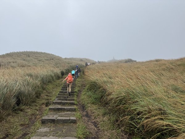 七星山 冷水坑上小油坑下環七星山人車分道O繞 202511082934885
