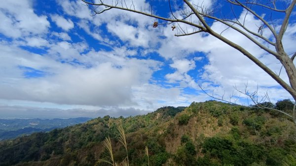 石苓湖山（頭嵙南峰）/黑山/黑山北峰/頭嵙山1585851