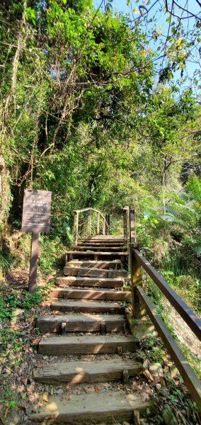 2022-03-05獨立山國家步道、阿拔泉山、觀音石山1631246