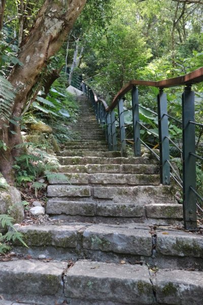 〔花蓮〕布洛灣吊橋+伊達斯步道+環流丘步道。一次走好走滿的布洛灣壯麗景觀步道2266371
