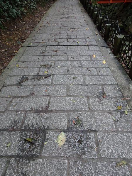 台灣小百岳第13座台北南港-南港山767768