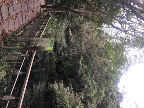 四十二份湧泉2723152