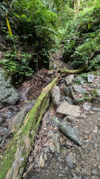 113.06.22坪溪古道-石坑山之旅2533785