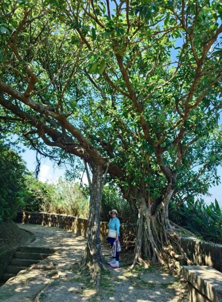 基隆小百岳：大武崙山#03 紅淡山#07 槓子寮山#04 逛吃瑞芳老街2916356