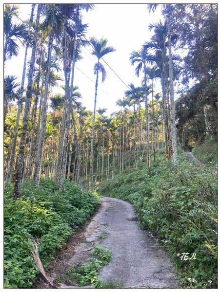 雨後頭縱走 (日月潭)2694395