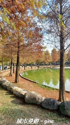 【南投名間】欣美創意園區~落羽松2968324