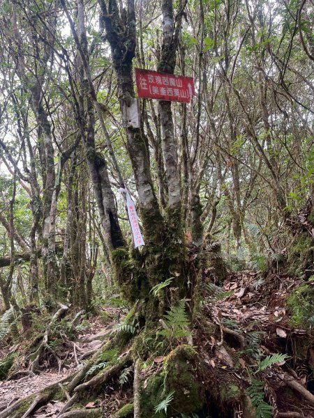 新北 塔曼山2832096