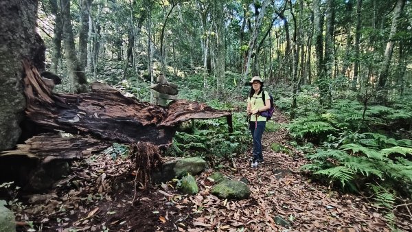 大混李棟山2816332