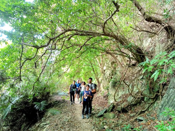 浸水營古道-年輕人爬山趣2767162