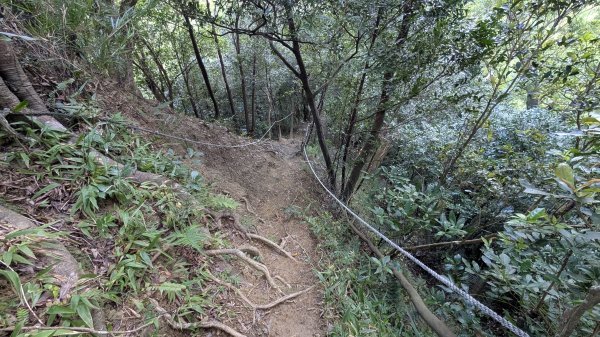 114.11.23龍泉山寺-成福山-十八羅漢岩-石門內尖山-石門內尖山東峰之旅2943742