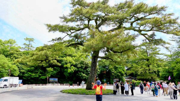 伊勢神宮,鬼之城,速玉神社2807134