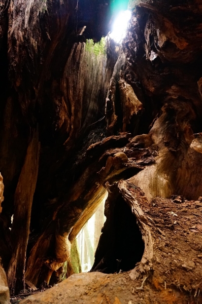 特富野古道91006