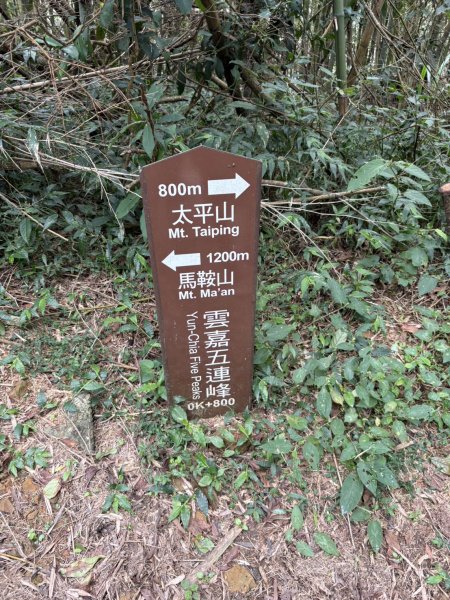 20251024雲嘉五連峰+碧湖山2924266