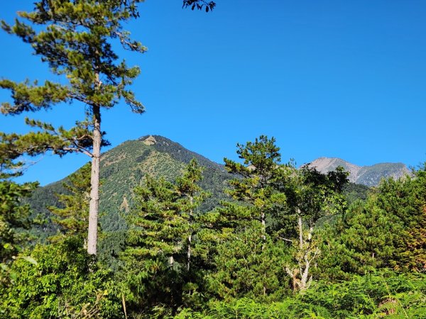 【中級山】馬武霸山，實至名歸的百岳觀景台2937724