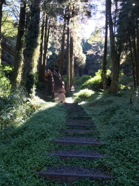 阿里山雙峰大塔山對高岳連走451410