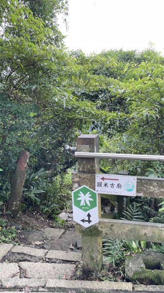 台北縱走第六段之不完整版～ 中華科技大學至和興碳坑2391252