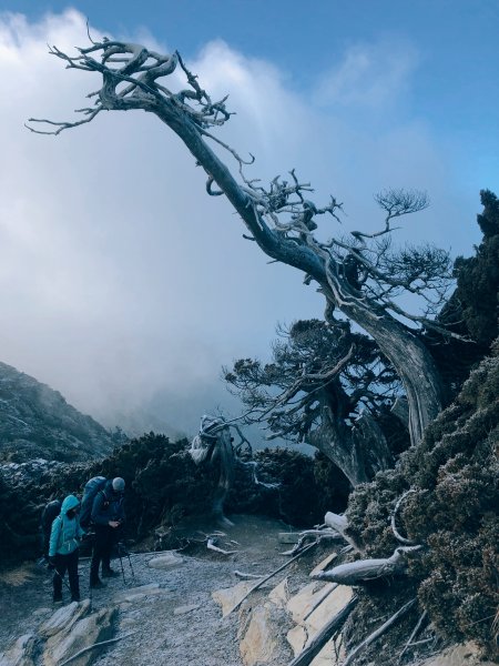 雪國裡的南湖1621177