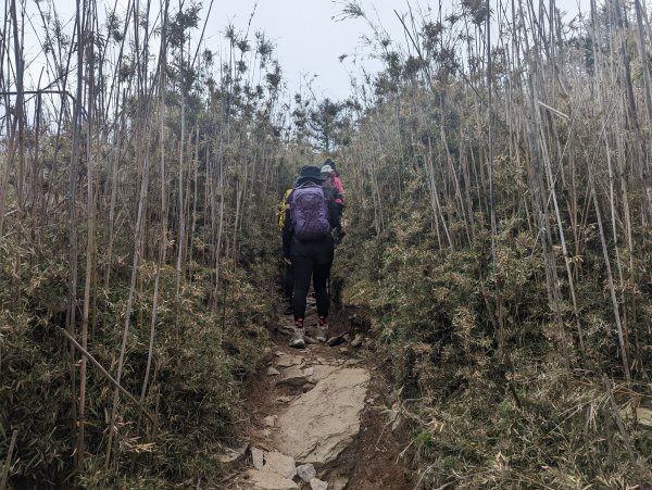 郡大山(百岳#54)、望鄉山登山行1887225