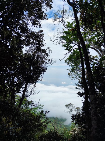 加里山（大坪登山口-杜鵑嶺-避難小屋）2767766