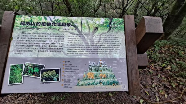 台北大縱走第一段1249229