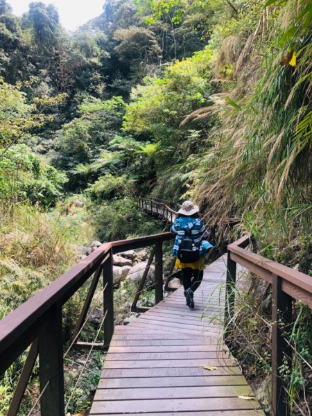 唐麻丹山蝴蝶谷步道1329416