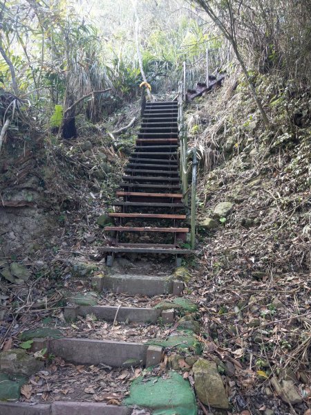 竹子尖山(小百岳#67)：梅龍步道、山稜線步道、觀音步道、階梯步道1377543