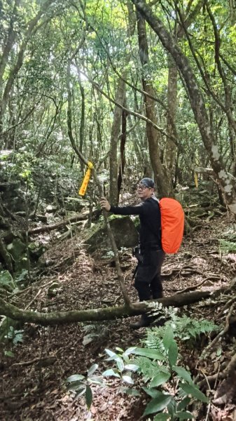 大混李棟山2816341