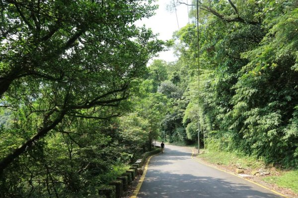 小百岳NO12  汐止大尖山 縱走海拔641公尺 四分子尾山2229052