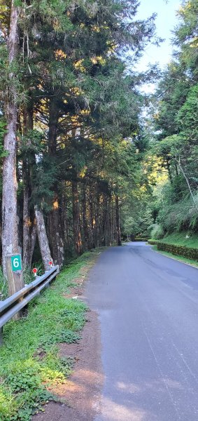 2023-07-08三星山登山步道2212420