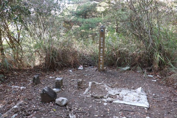 2020-12-12 八仙山1216314