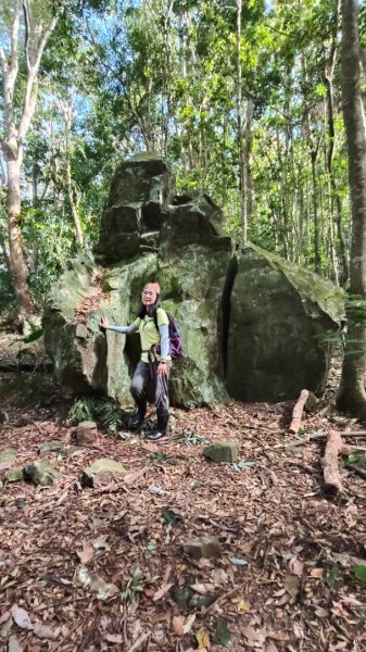 泰安鳥嘴山~上島山202411092645328