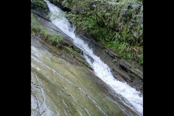 暖東峽谷/草嶺舊隧道2816499