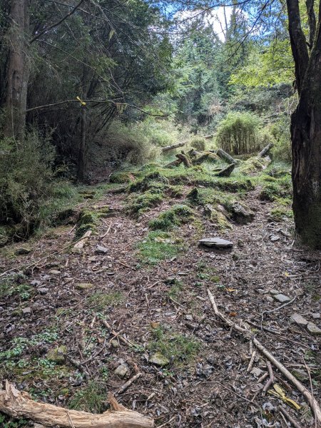 結界縱走三日(結城山、境界山、檜山)2920903