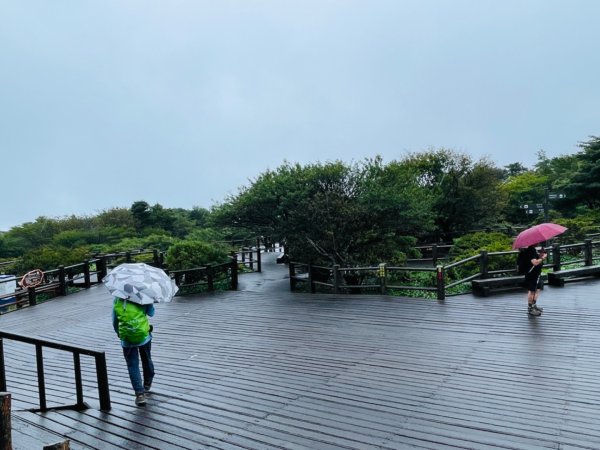 1140811 KR 漢拏山杜鵑花田避難所-紗羅岳觀景臺2860186