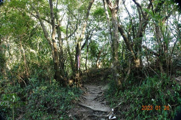 屏東 春日鄉 力里山2018643