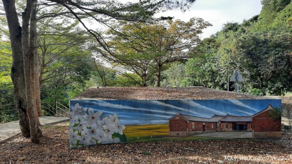 《彰化》登山市集｜員林臥龍坡環藤山步道202312162380597