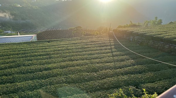 隙頂二延平步道2798957