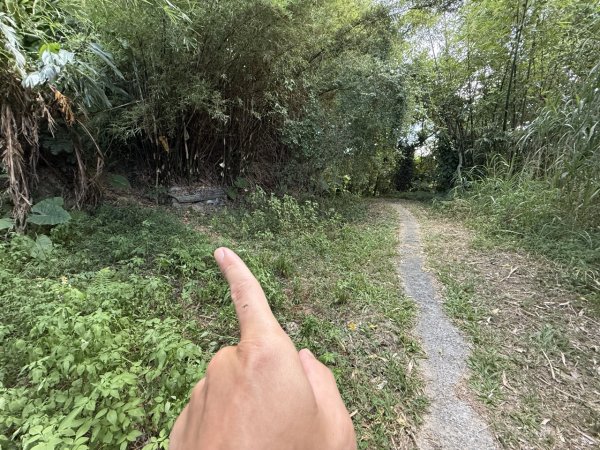 2025/09/19 南港山 拇指山 四獸山連走3050226
