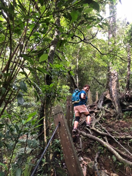 嘉南雲峰、石壁山有著讓人嚇到哭的螞蝗現身596804