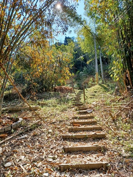 【高雄。茂林】清悠原始山徑。 小百岳集起來。 編號71小百岳-鳴海山 (扇平園區)1653732