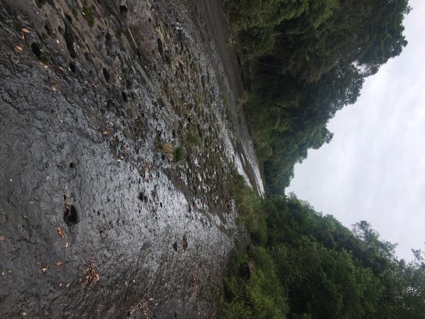 分遣所、斜壁2774349