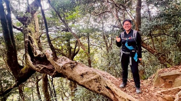 🌈12/28（日）北得拉曼神木+內鳥嘴山✨FB：熊熊趴爬走🌈2971305