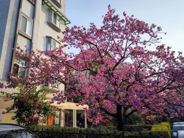 2026-02-22 內湖雙心縱走3006783