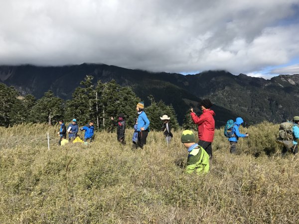雪山 不下雪533035