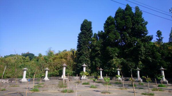 桃源里森林步道和龍鳳谷步道1591596