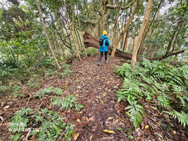 【苗栗郊山聖稜線】仙神象18連峰大縱走2675901
