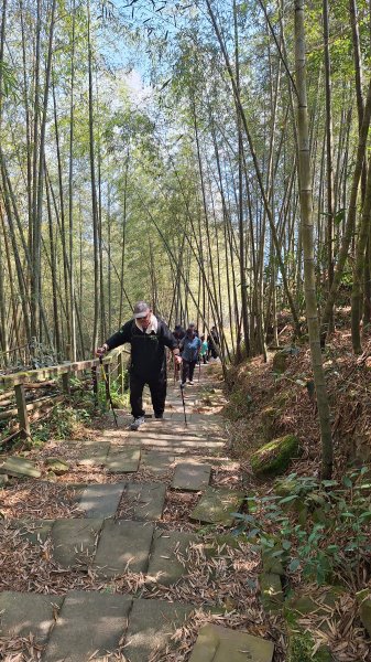 雲嘉大尖山(挑筍古道上)11502093045228