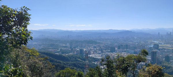 內湖金面山22690017